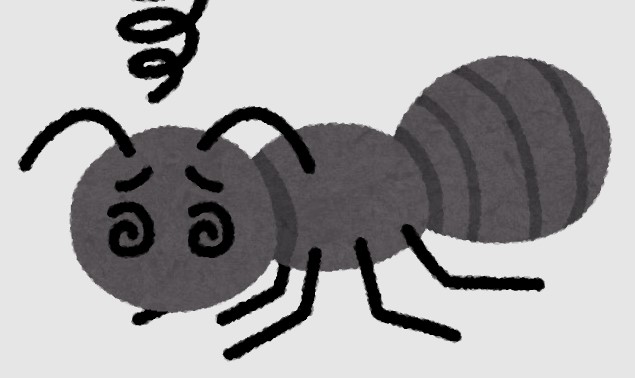 【閲覧注意】家にアリの死体が大量にある、なにが起きてるのこれ