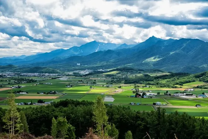 田舎に引っ越したワイ、ゴミ捨て事情にドン引き