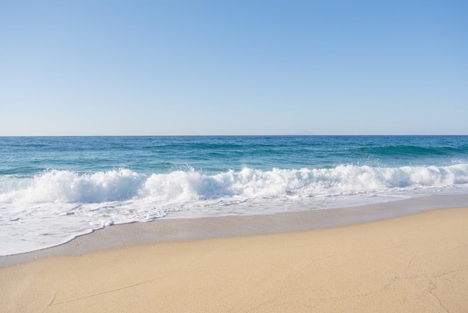 【閲覧注意】最近の浜辺、恐ろしいことになっていた