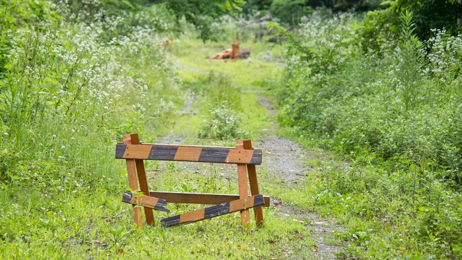 子供が行方不明になった未解決事件で打線組んだ