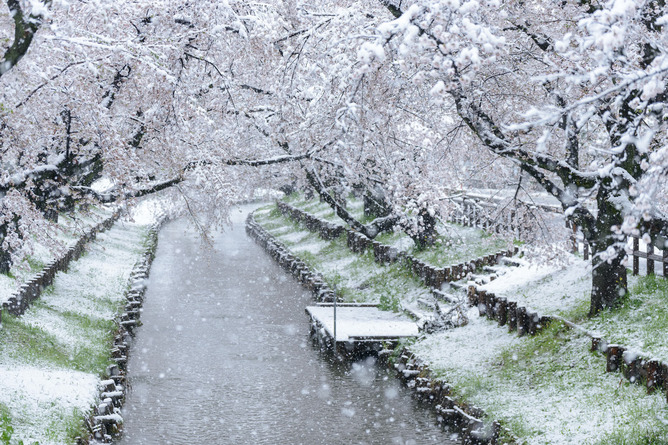 【速報】今週の雪、緊急事態レベルらしいｗｗｗｗｗｗｗ