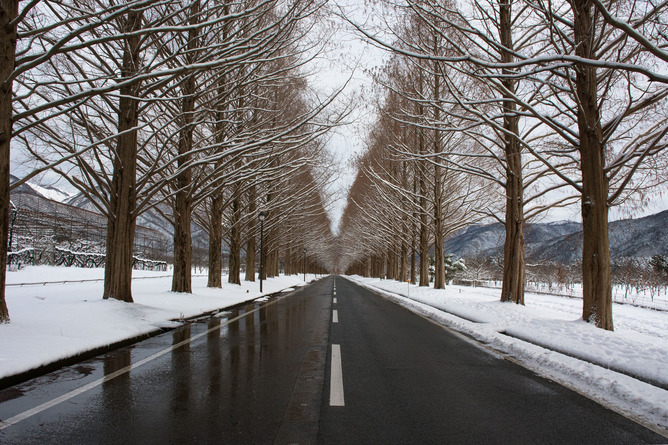 【画像】雪国の鬼田舎に移住した結果ｗｗｗｗｗｗｗｗｗｗｗ