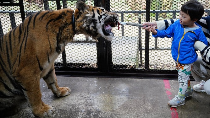 【速報】日本一危険な動物園、撤去確定