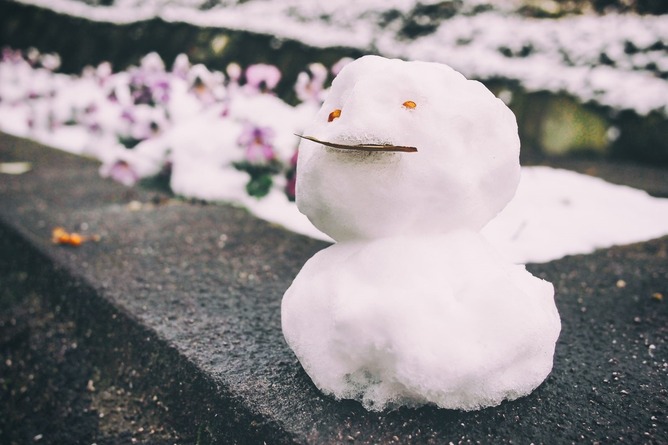 【画像】浜松市民、大雪で大パニックｗｗｗｗｗｗｗｗｗｗｗ