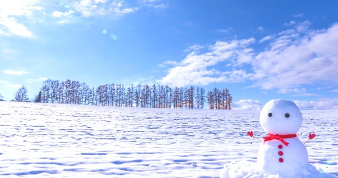 【速報】北海道の雪、レベルが違うｗｗｗｗｗｗｗｗｗｗｗ