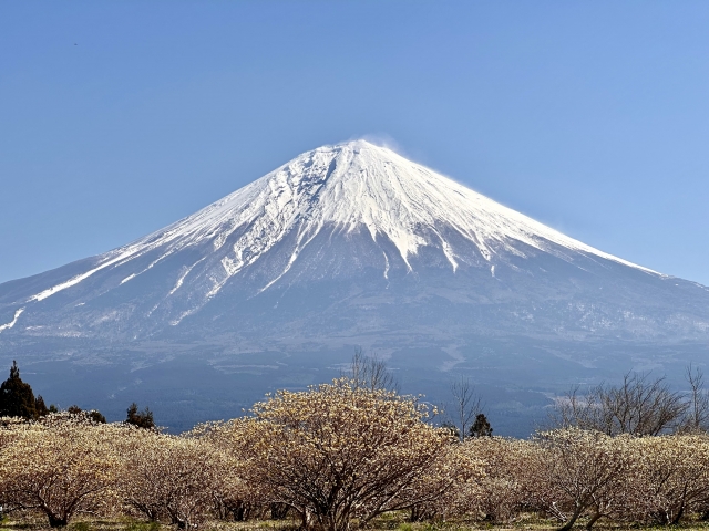 【緊急】富士山、噴火しそうな模様