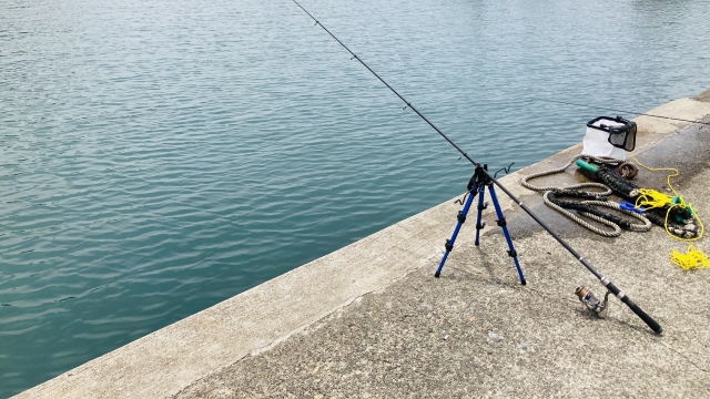 家族連れ「サビキ釣り楽しいね！」ブリ釣り師ワイ「ふん…雑魚狙いのにわかが…」