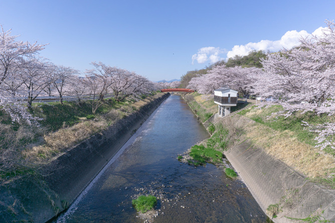 【閲覧注意】奈良の川に異常事態発生