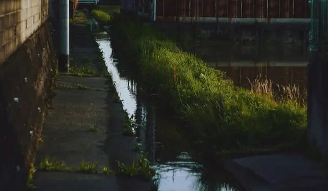 【画像】散歩中ぼく、用水路で発見する