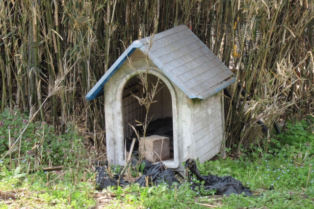 【画像】1億円払って住める東京の犬小屋がこちらｗｗｗｗｗｗｗｗｗｗｗ