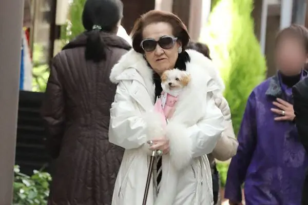 細木数子「地獄に堕ちるわよ」ドラマ化ｗｗｗｗｗｗｗｗｗｗｗ
