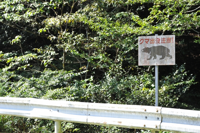 【画像】ツキノワグマの狩猟、時給が終わるｗｗｗｗｗｗｗ