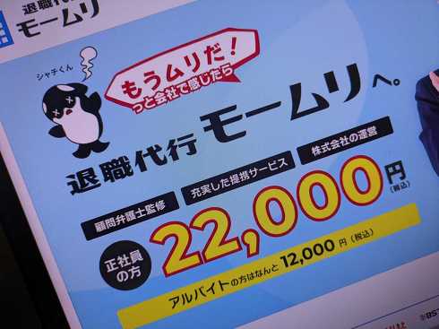 【悲報】モームリ、従業員がモームリ状態へ