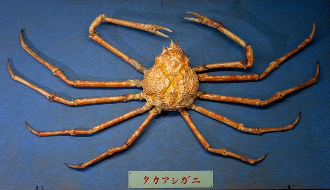【画像】今の小学生ってこんな給食くってんのかよｗｗｗｗｗｗｗｗｗｗｗｗ
