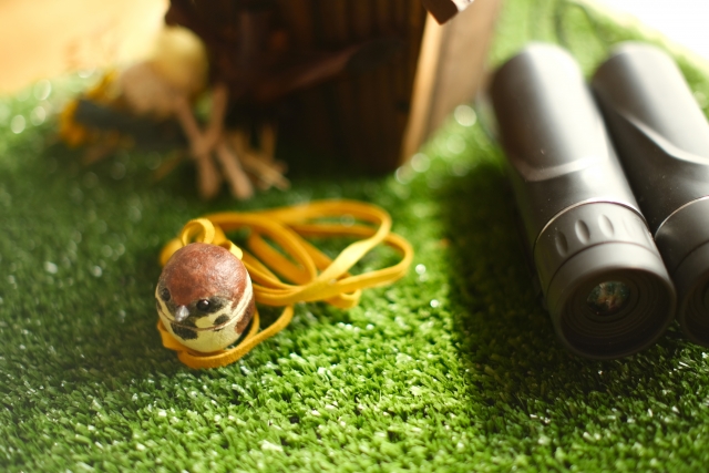 【画像】そろそろバードウォッチングにいい時期だから鳥を紹介していく