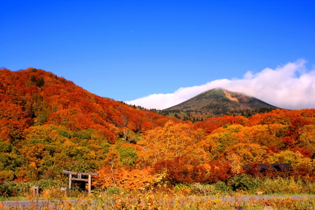 【画像】山に紅葉を見に行こうよう