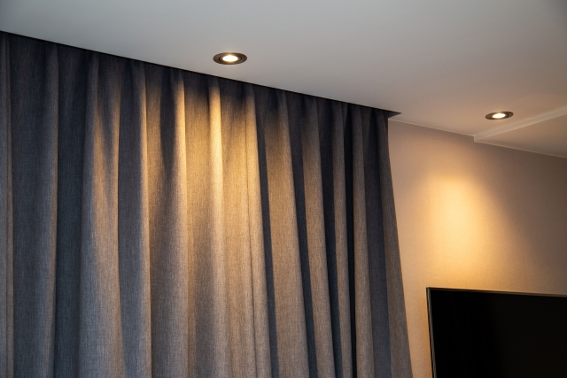 【悲報】寝室で謎の幼虫を発見したワイ、調べてみるとクロゴキブリの幼虫と判明し無事死亡