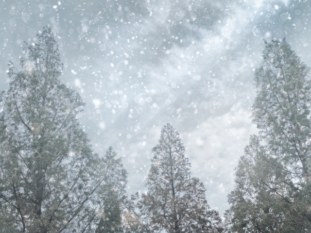 【悲報】北海道、吹雪で地獄ｗｗｗｗｗｗｗ