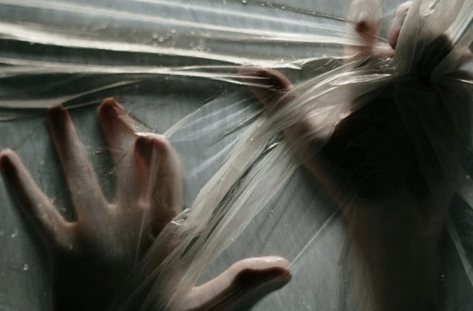 【画像】熊を殺すなという人たち「クソッ！これ以上クマを殺されてたまるか！………せや！」