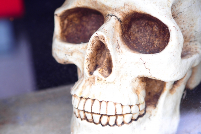 【悲報】ビッパーの死に方、悲惨すぎる