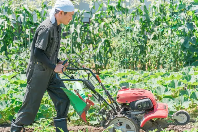 純粋な疑問なんだけど一番楽で儲かる農家って何？