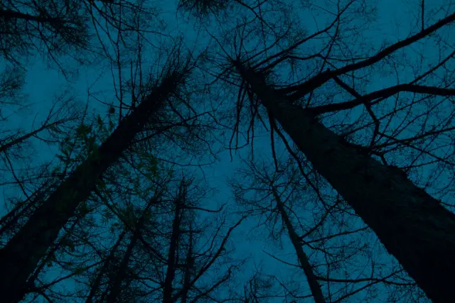 実際、本気で山奥に死体を捨てに行ったら見つかるの？