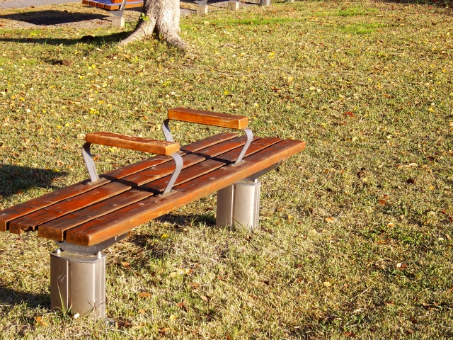 【画像】大晦日に公園で一人で弁当食ってるオッサンがおる…怖い…🥺