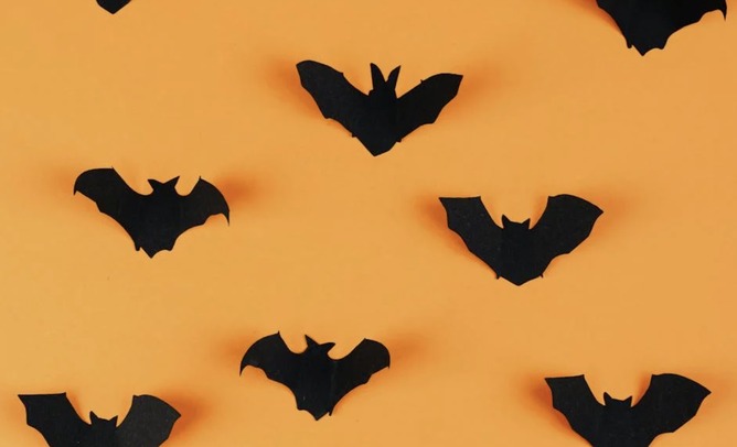 「コウモリってずっとぶら下って疲れないの？🥺」って心配で夜も眠れない人へ