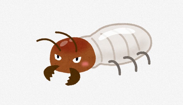 【画像あり】ワイ家、シロアリが大量発生する！