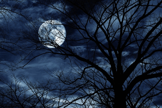 【画像】行方不明の美少女JC、ついに懸賞金がかけられる