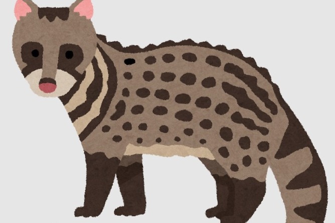 【画像】ジャコウネコ「えっ？ワイの糞からコーヒー豆を取って飲むんですか！？」→結果