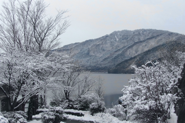 【動画】雪が降った今日の箱根、ノーマルタイヤだらけで本当に悲惨な事になる
