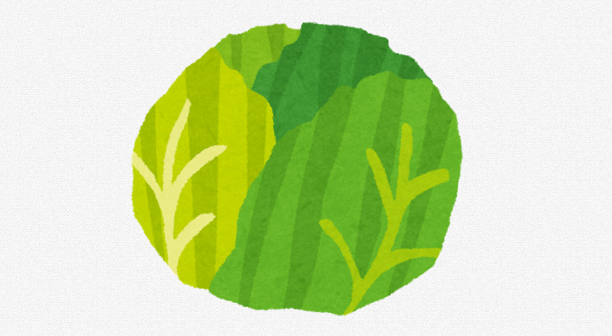 【画像】このキャベツの親戚みたいな植物美味しそうに見えるよな
