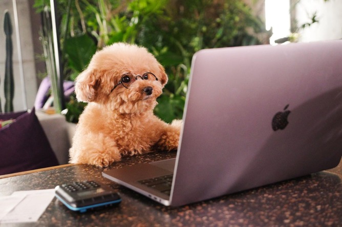 【画像】5年振りにPCの電源いれた結果ｗｗｗｗｗｗｗｗｗｗｗ