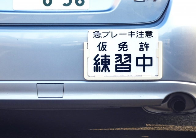 路上教習中ワイ「ファッ？！目の前に鳥さんが！(急ブレーキ)」教官「何やっとるかあ！」