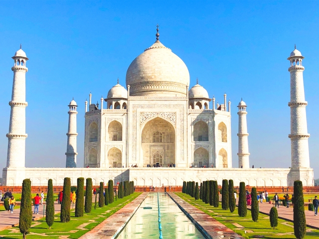 【動画】インドの謎肉料理、めっちゃ美味そう♡