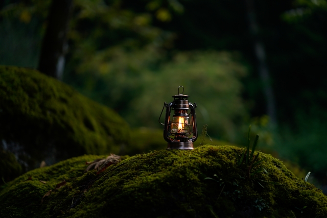 誰もいない深夜の無料キャンプ場行ったけど怖すぎて駄目だった