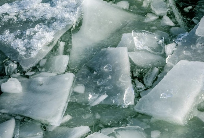 【画像】トド、3000頭が集まる