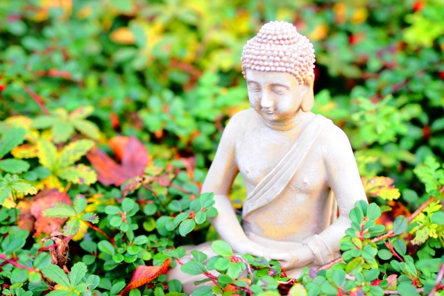 仏様の種類多すぎてワロタｗｗｗｗｗｗｗｗｗｗ