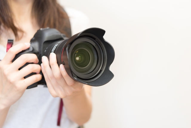 【画像】いい天気だから🌸🐝蜂の写真撮ったった