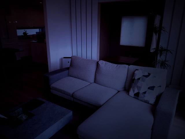 家の中で変な音するんだけど詳しい人いる？