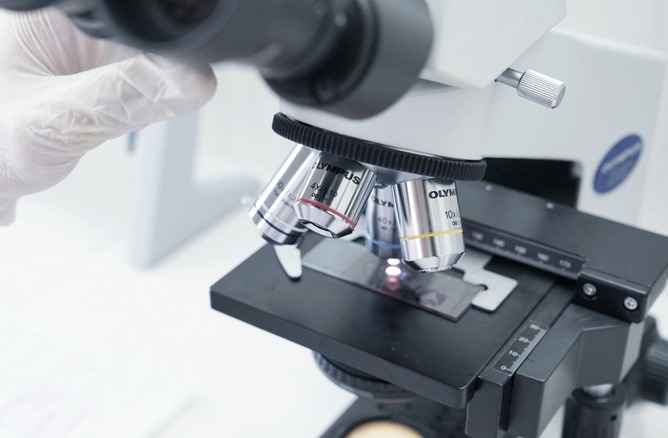 【画像】顕微鏡で見たハエさん、完全にラスボスｗｗｗｗｗｗｗｗ