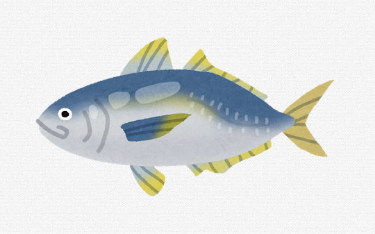 【画像】アジ買ってきたｗｗｗｗｗｗｗｗｗｗｗｗｗｗｗｗｗｗｗｗｗｗ