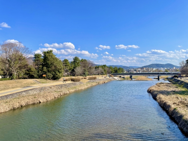 【画像あり】川エビ取りに来たｗｗｗｗｗｗｗｗｗ