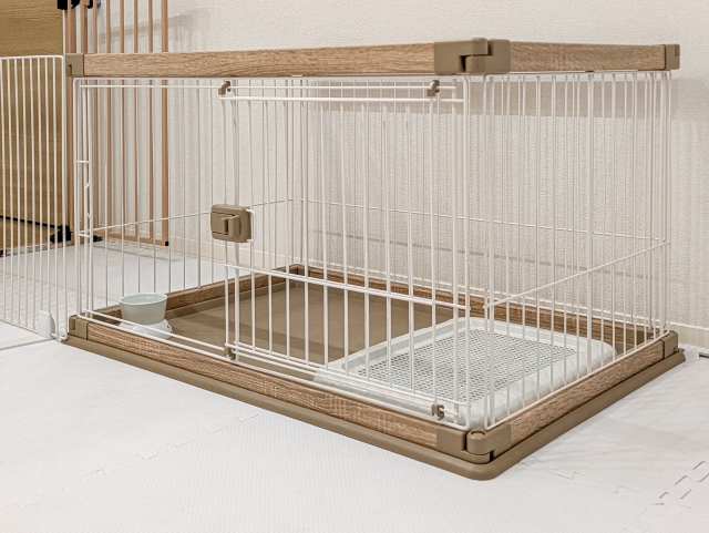 【画像】親父が小汚ねえ犬買ってきてワロタｗｗｗｗｗｗｗｗｗ