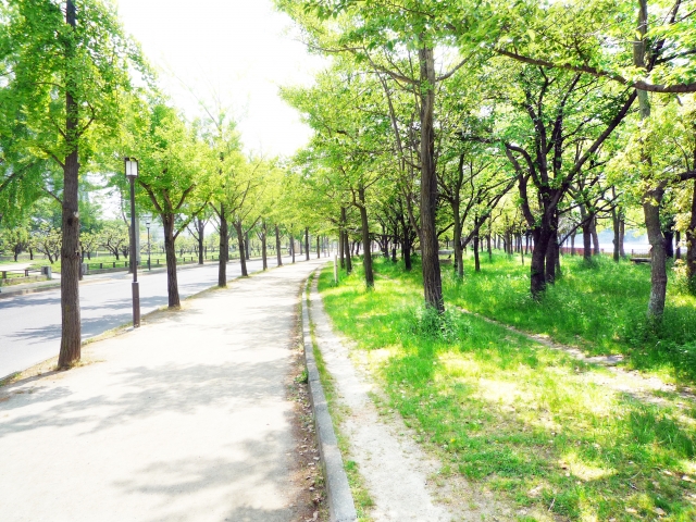 女子小学生「こんにちわー…」散歩中僕「あっ、こんにちわー（めっちゃええ子やん😊」