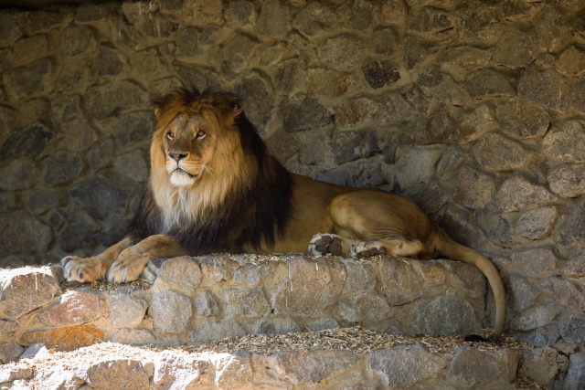 昨日動物園デートするってスレ見て影響されて動物園行ったんだけど
