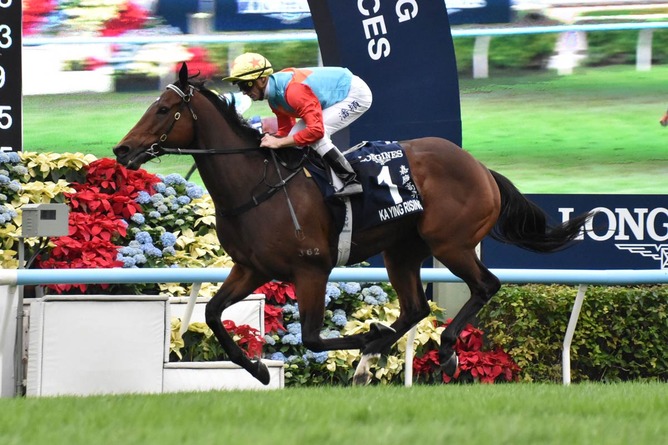 【画像】今週のレースで賭けるだけで勝ち確の馬が見つかる