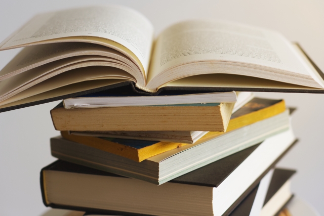 紙の本「値段は800円です。」電子版の本紙「値段は800円です。」←これ