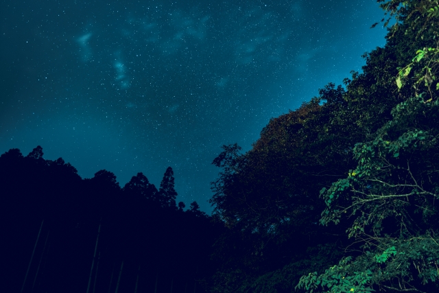 山の中ってマジで神みたいなのいるよなｗｗｗｗ